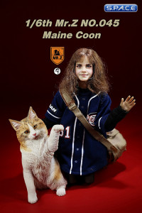 1/6 Scale Maine Coon (red smoke white)