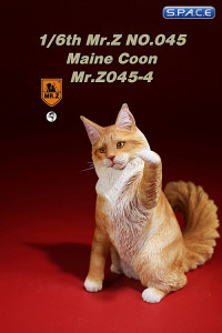 1/6 Scale Maine Coon (red tabby white)