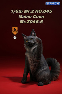 1/6 Scale Maine Coon (blue solid)