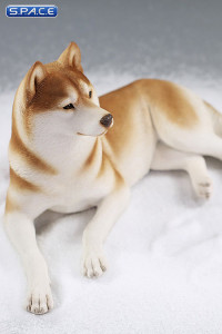 1/6 Scale lying Siberian Husky (red/copper)