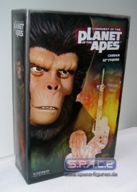 12 Caesar (Planet of the Apes)