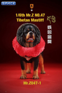 1/6 Scale Tibetan Mastiff (black/brown)