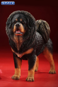 1/6 Scale Tibetan Mastiff (black/brown)