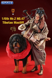 1/6 Scale Tibetan Mastiff (black/brown)