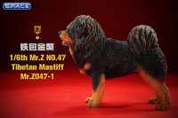1/6 Scale Tibetan Mastiff (black/brown)