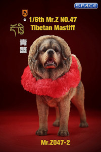 1/6 Scale Tibetan Mastiff (light brown)