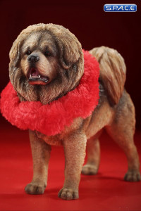 1/6 Scale Tibetan Mastiff (light brown)