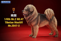 1/6 Scale Tibetan Mastiff (light brown)