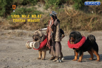 1/6 Scale Tibetan Mastiff (light brown)