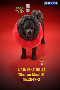 1/6 Scale Tibetan Mastiff (dark brown)