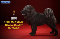 1/6 Scale Tibetan Mastiff (dark brown)