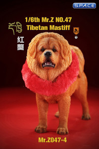1/6 Scale Tibetan Mastiff (sand colored)
