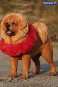 1/6 Scale Tibetan Mastiff (sand colored)