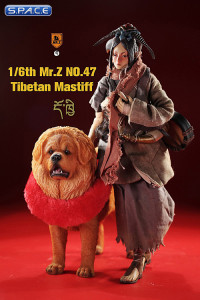 1/6 Scale Tibetan Mastiff (sand colored)