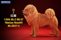 1/6 Scale Tibetan Mastiff (sand colored)