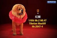 1/6 Scale Tibetan Mastiff (sand colored)