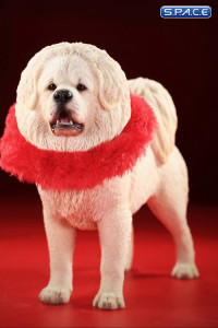 1/6 Scale Tibetan Mastiff (white)