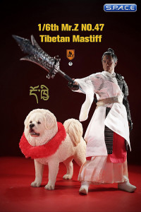 1/6 Scale Tibetan Mastiff (white)