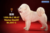 1/6 Scale Tibetan Mastiff (white)