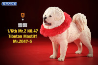 1/6 Scale Tibetan Mastiff (white)