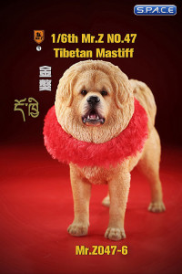 1/6 Scale Tibetan Mastiff (beige)