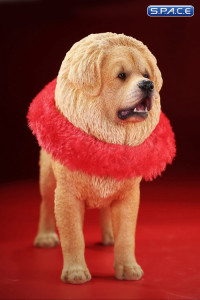 1/6 Scale Tibetan Mastiff (beige)