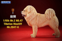 1/6 Scale Tibetan Mastiff (beige)