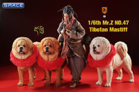 1/6 Scale Tibetan Mastiff (beige)