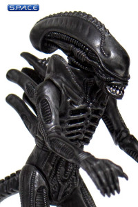 Alien Warrior ReAction Figure - Midnight Black Version (Aliens)