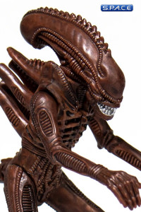 Alien Warrior ReAction Figure - Dusk Brown Version (Aliens)