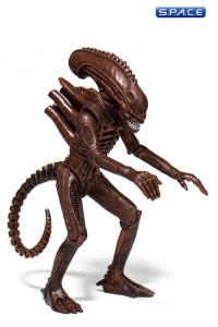 Alien Warrior ReAction Figure - Dusk Brown Version (Aliens)