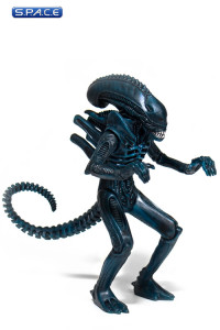Alien Warrior ReAction Figure - Nightfall Blue Version (Aliens)