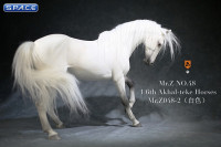 1/6 Scale Akhal Teke Horse (white)