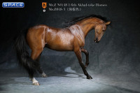 1/6 Scale Akhal Teke Horse (brown)