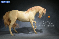 1/6 Scale Akhal Teke Horse (palomino)