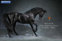 1/6 Scale Akhal Teke Horse (black)