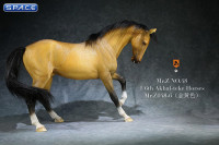 1/6 Scale Akhal Teke Horse (buckskin)