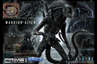 Alien Warrior Premium Masterline Statue (Aliens)