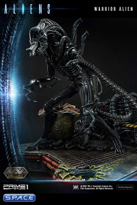 Alien Warrior Deluxe Premium Masterline Statue - Bonus Version (Aliens)