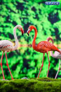 1/6 Scale Flamingo (red)