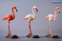 1/6 Scale Flamingo (red)