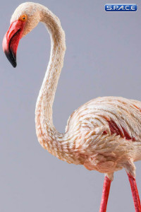 1/6 Scale Flamingo (white)