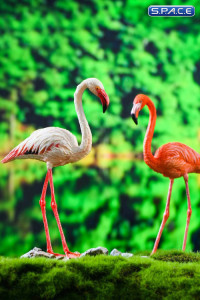 1/6 Scale Flamingo (white)