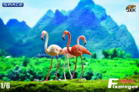 1/6 Scale Flamingo (white)