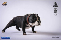 1/6 Scale Bulldog (white/black)