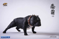 1/6 Scale Bulldog (black)