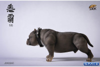 1/6 Scale Bulldog (grey)