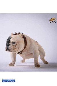 1/6 Scale Bulldog (white)