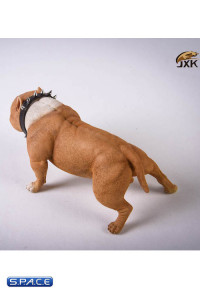 1/6 Scale Bulldog (light brown)