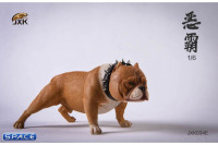 1/6 Scale Bulldog (light brown)